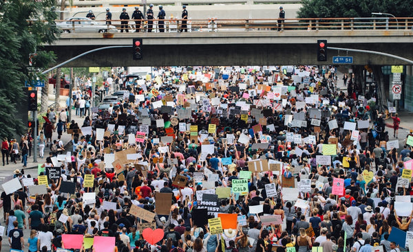 Crowd of protesters with signs at a rally